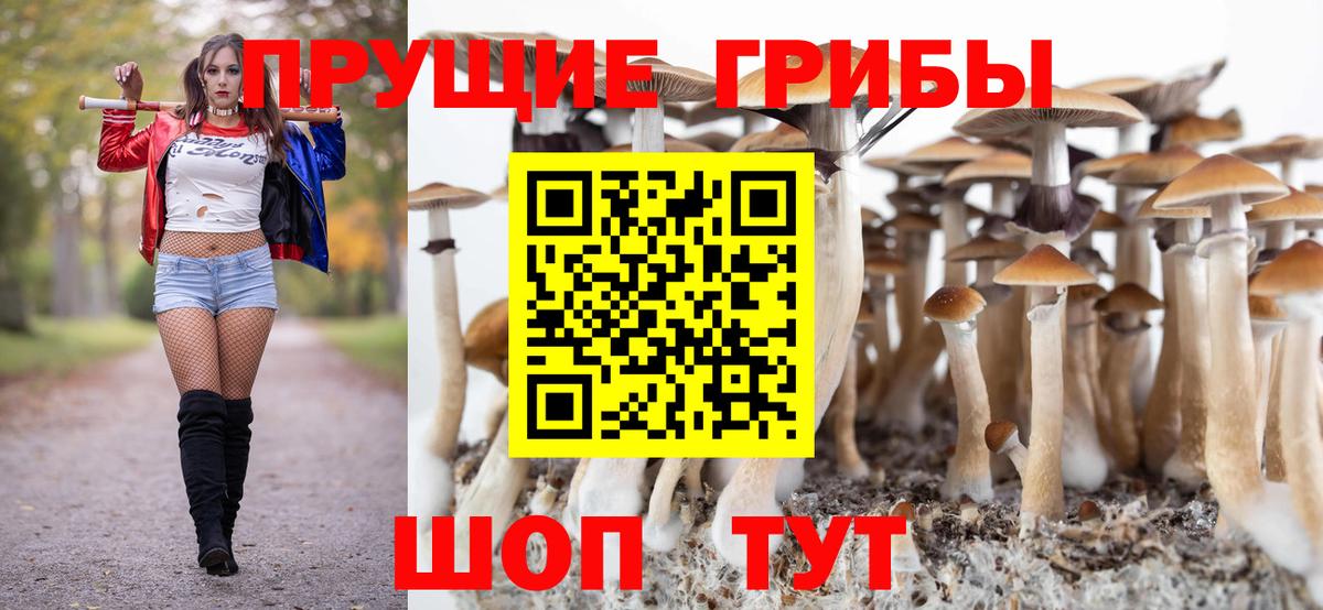 Галлюциногенные грибы Psilocybine cubensis Самара