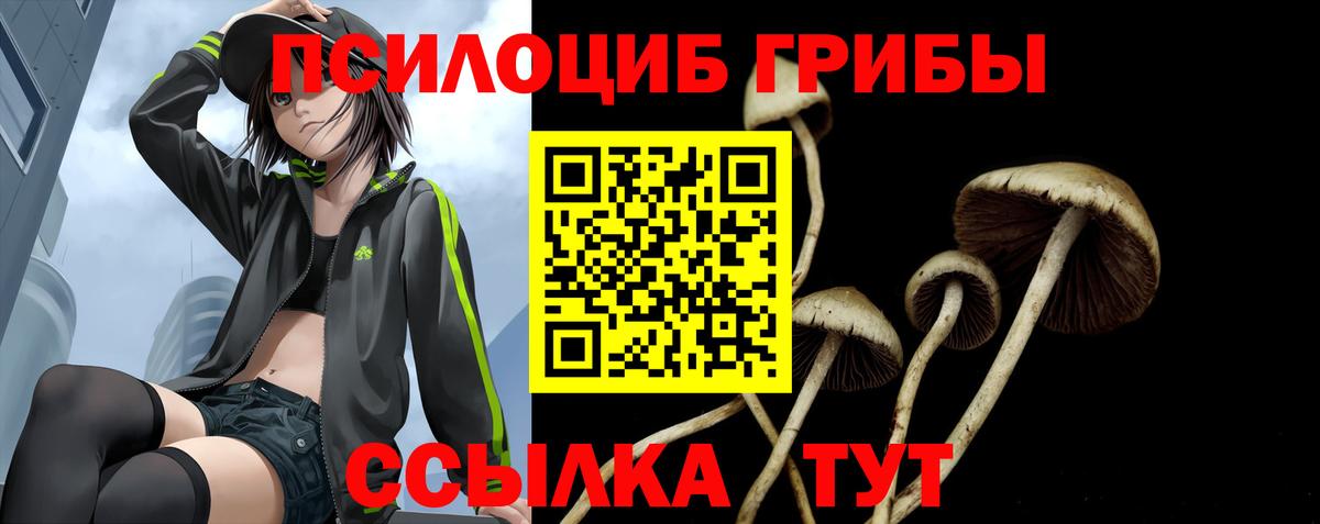 даркнет сайт  Галлюциногенные грибы мицелий  Вход с VPN  Самара  Псилоцибиновые грибы прущие грибы 
